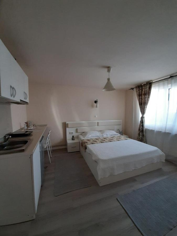 Casa Flamingo Ξενοδοχείο Κραϊόβα Εξωτερικό φωτογραφία
